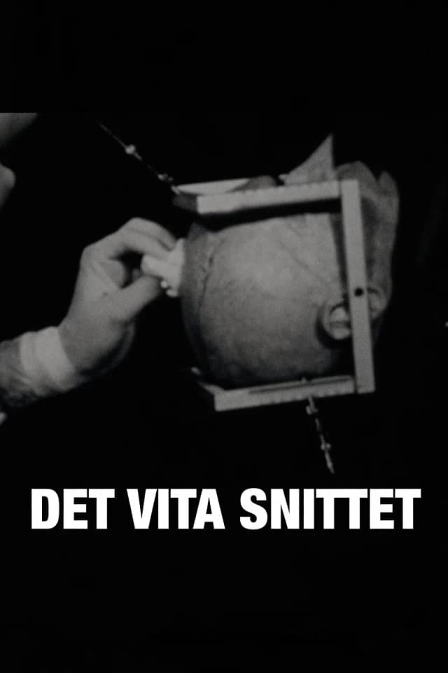 Det vita snittet